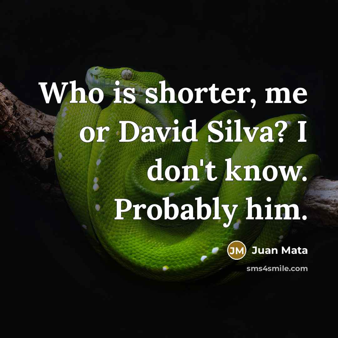 “Who is shorter, me or David Silva? I don't know. Probably him.” quote by Juan Mata