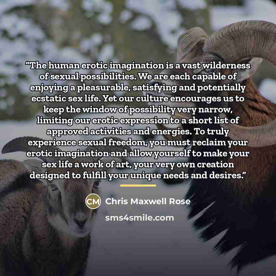 “The human erotic imagination is a vast wilderness of sexual possibilities. We are each capable of enjoying a pleasurable, satisfying and potentially ecstatic sex life. Yet our culture encourages us to keep the window of possibility very narrow, limiting our erotic expression to a short list of…” quote by Chris Maxwell Rose