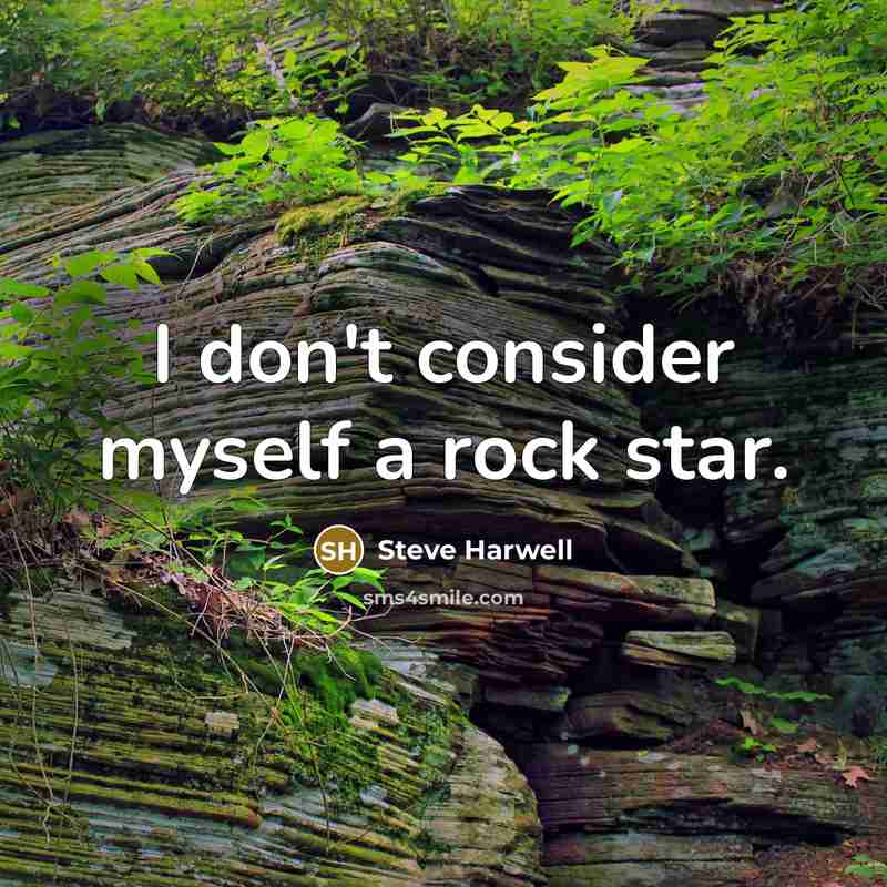 “I don't consider myself a rock star.” quote by Steve Harwell