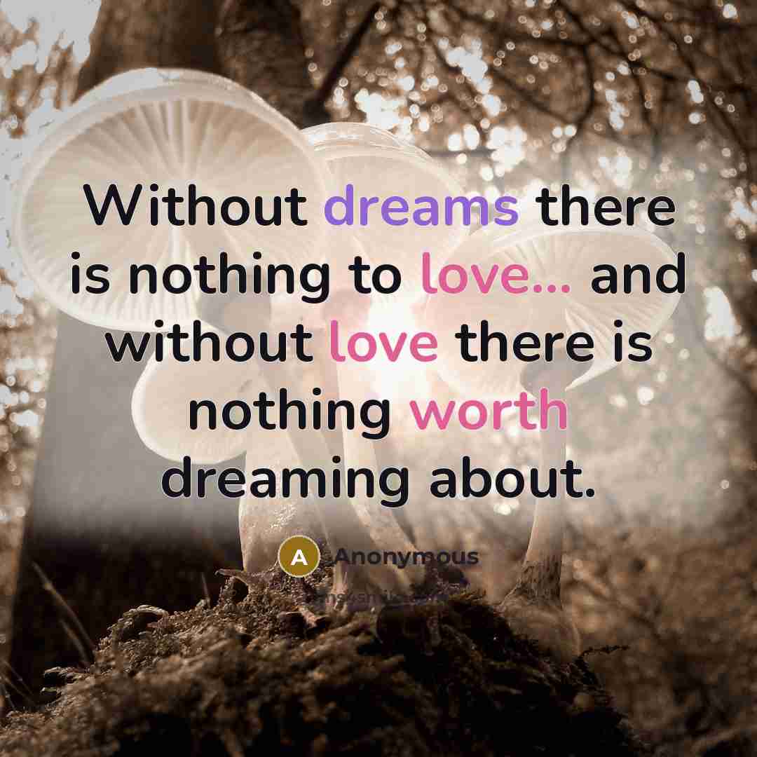 “Without dreams there is nothing to love... and without love there is nothing worth dreaming about.” quote by Anonymous