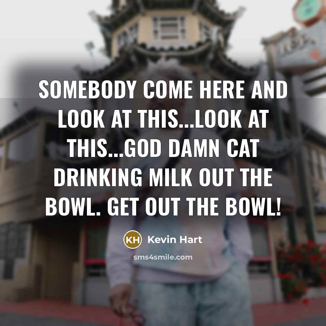 “Somebody come here and look at this...look at this...God damn cat drinking milk out the bowl. GET OUT THE BOWL!” quote by Kevin Hart