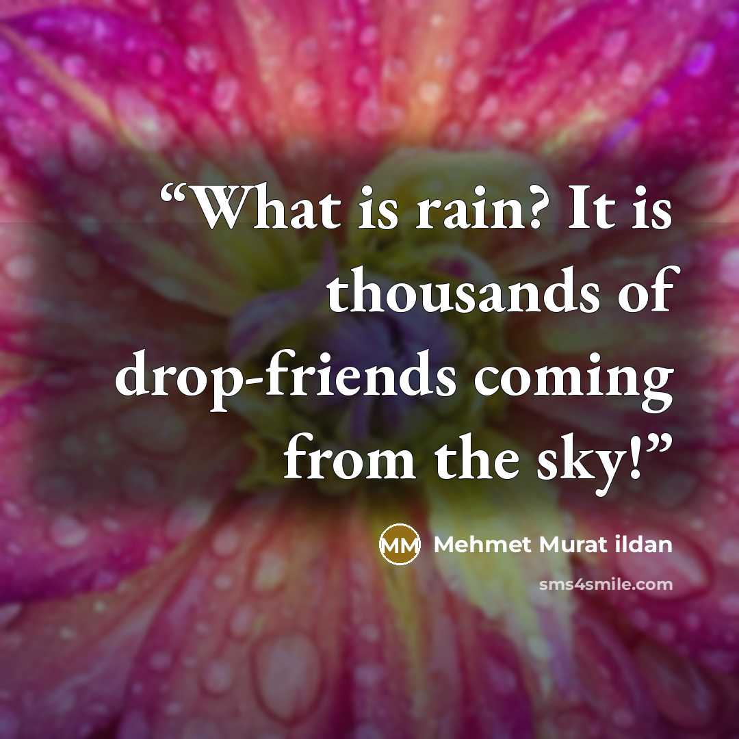 “What is rain? It is thousands of drop-friends coming from the sky!” quote by Mehmet Murat ildan