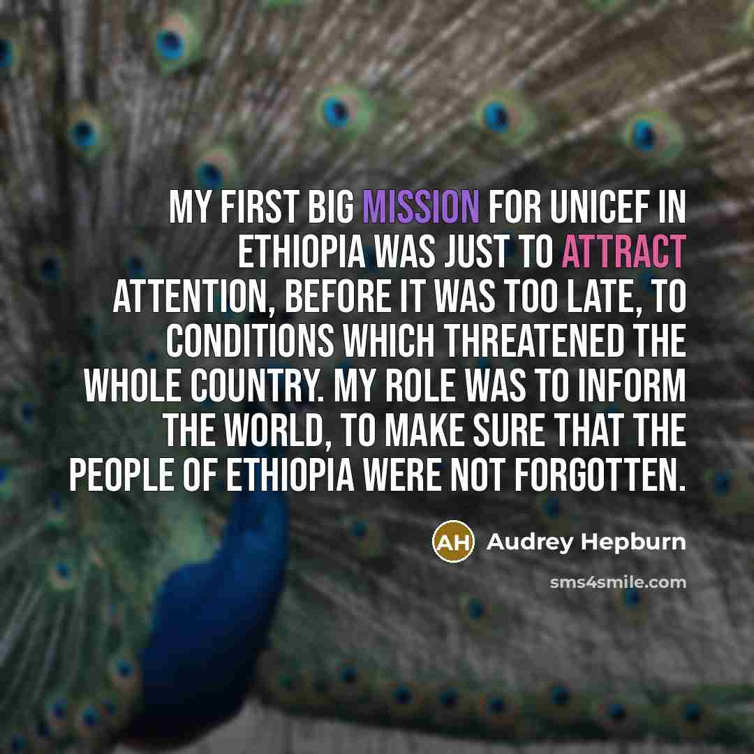 “My first big mission for UNICEF in Ethiopia was just to attract attention, before it was too late, to conditions which threatened the whole country. My role was to inform the world, to make sure that the people of Ethiopia were not forgotten.” quote by Audrey Hepburn