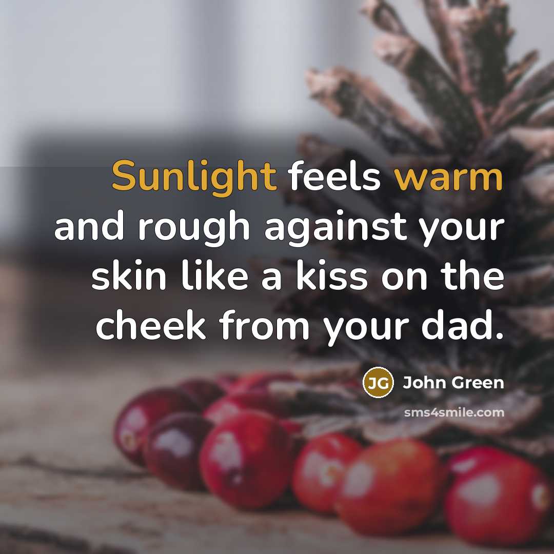 “Sunlight feels warm and rough against your skin like a kiss on the cheek from your dad.” quote by John Green