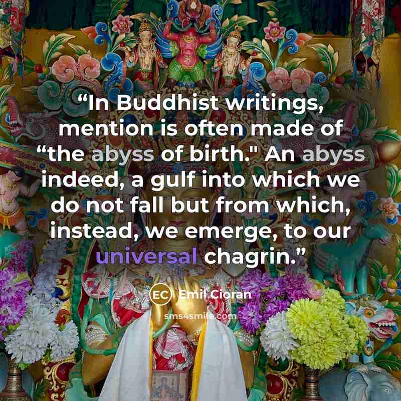 “In Buddhist writings, mention is often made of “the abyss of birth." An abyss indeed, a gulf into which we do not fall but from which, instead, we emerge, to our universal chagrin.” quote by Emil Cioran