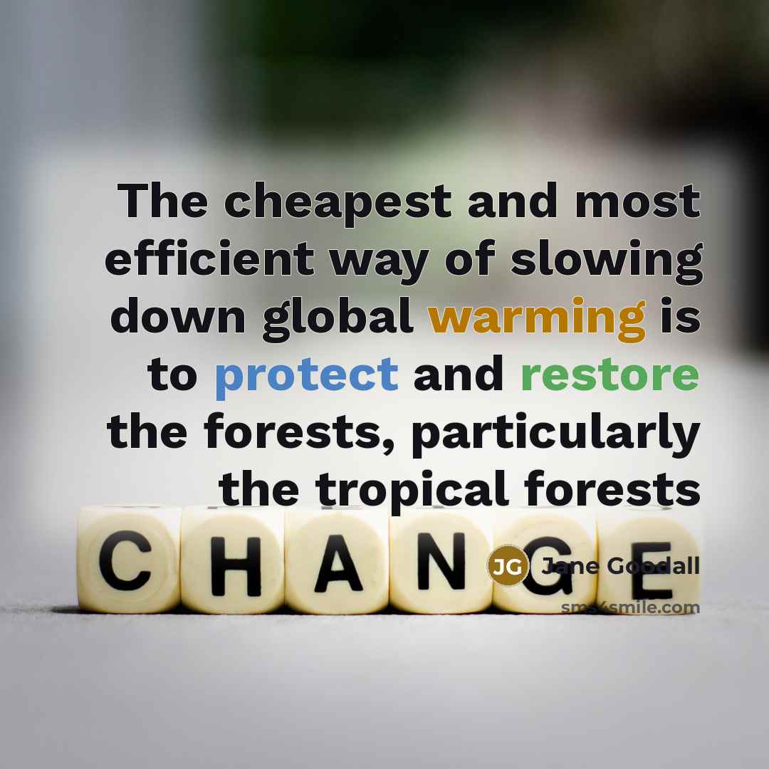 “The cheapest and most efficient way of slowing down global warming is to protect and restore the forests, particularly the tropical forests” quote by Jane Goodall