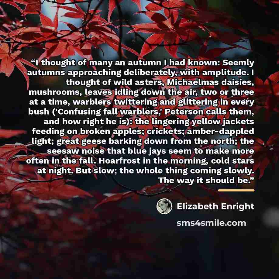 “I thought of many an autumn I had known: Seemly autumns approaching deliberately, with amplitude. I thought of wild asters, Michaelmas daisies, mushrooms, leaves idling down the air, two or three at a time, warblers twittering and glittering in every bush ('Confusing fall warblers,' Peterson calls…” quote by Elizabeth Enright
