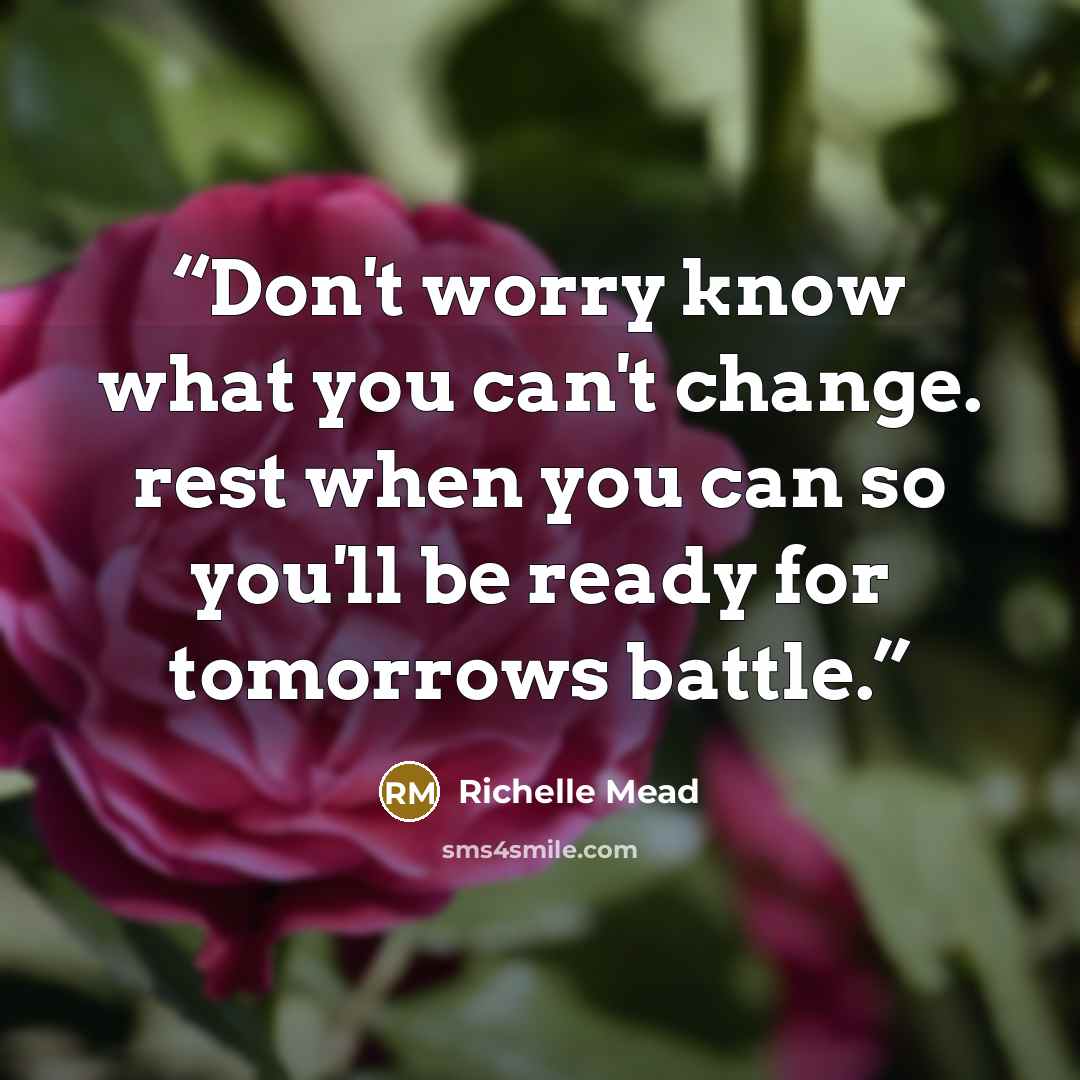 “Don't worry know what you can't change. rest when you can so you'll be ready for tomorrows battle.” quote by richelle mead