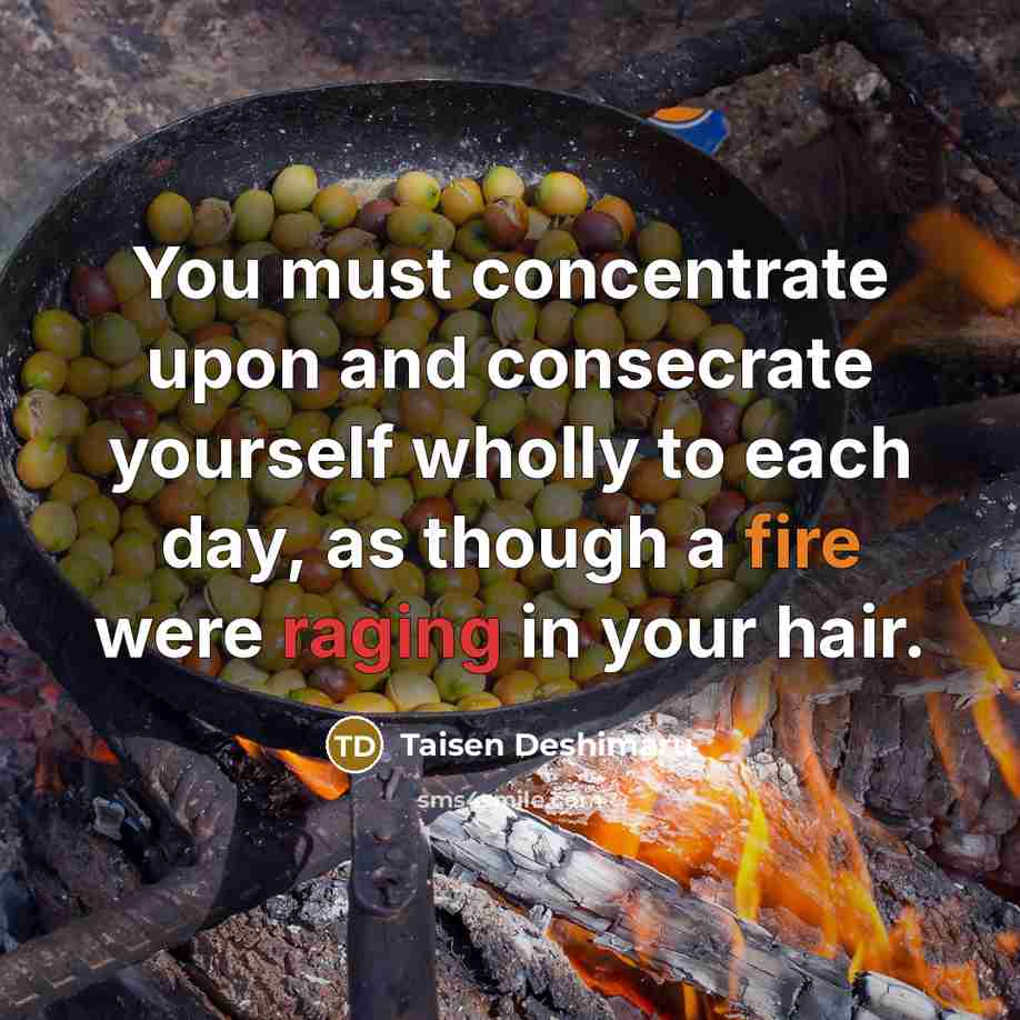 “You must concentrate upon and consecrate yourself wholly to each day, as though a fire were raging in your hair.” quote by Taisen Deshimaru
