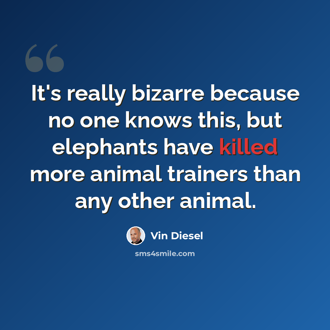 “It's really bizarre because no one knows this, but elephants have killed more animal trainers than any other animal.” quote by Vin Diesel
