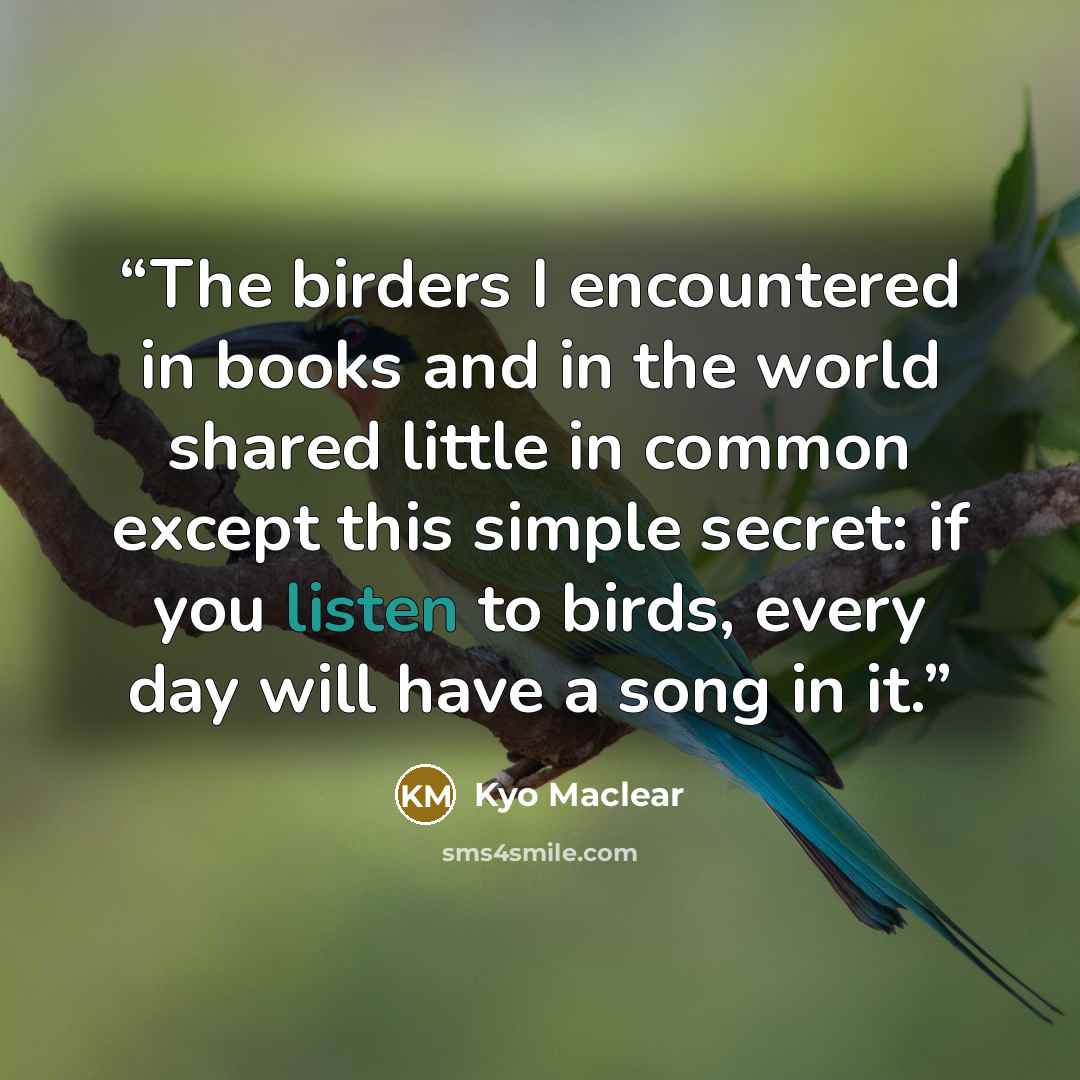 “The birders I encountered in books and in the world shared little in common except this simple secret: if you listen to birds, every day will have a song in it.” quote by Kyo Maclear