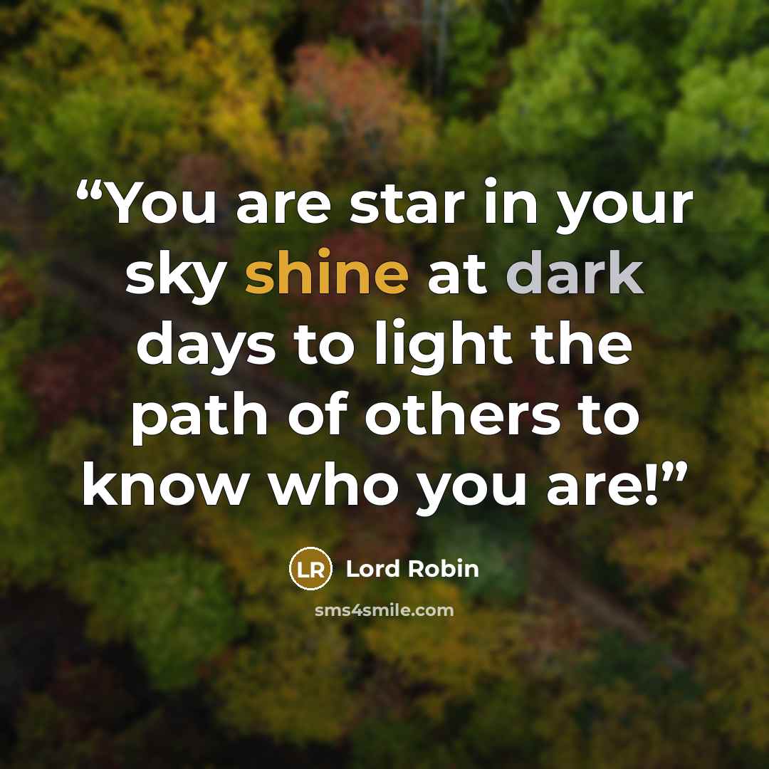 “You are star in your sky shine at dark days to light the path of others to know who you are!” quote by Lord Robin