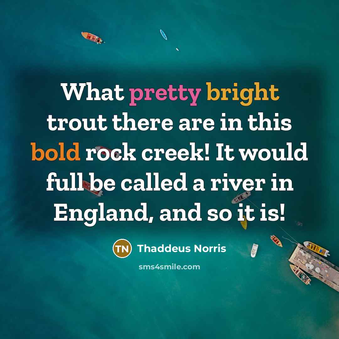 “What pretty bright trout there are in this bold rock creek! It would full be called a river in England, and so it is!” quote by Thaddeus Norris