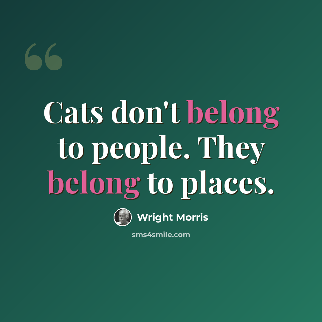 “Cats don't belong to people. They belong to places.” quote by Wright Morris