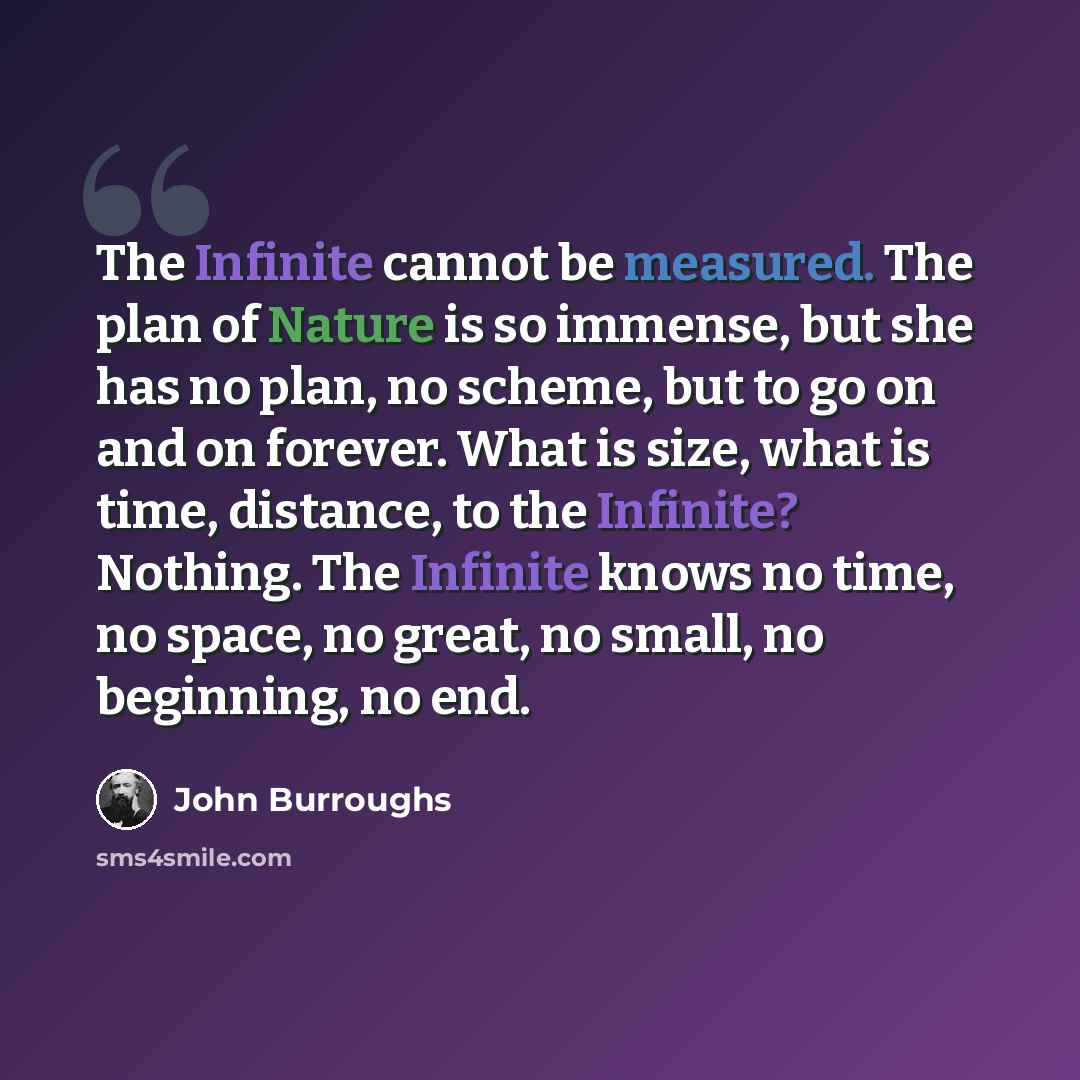 “The Infinite cannot be measured. The plan of Nature is so immense, but she has no plan, no scheme, but to go on and on forever. What is size, what is time, distance, to the Infinite? Nothing. The Infinite knows no time, no space, no great, no small, no beginning, no end.” quote by John Burroughs