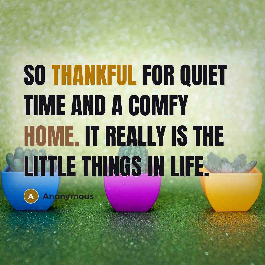 “So thankful for quiet time and a comfy home. It really is the little things in life.” quote by Anonymous