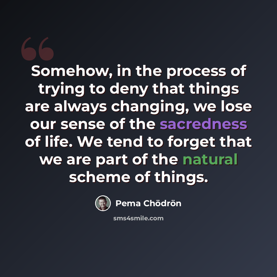 “Somehow, in the process of trying to deny that things are always changing, we lose our sense of the sacredness of life. We tend to forget that we are part of the natural scheme of things.” quote by Pema Chodron