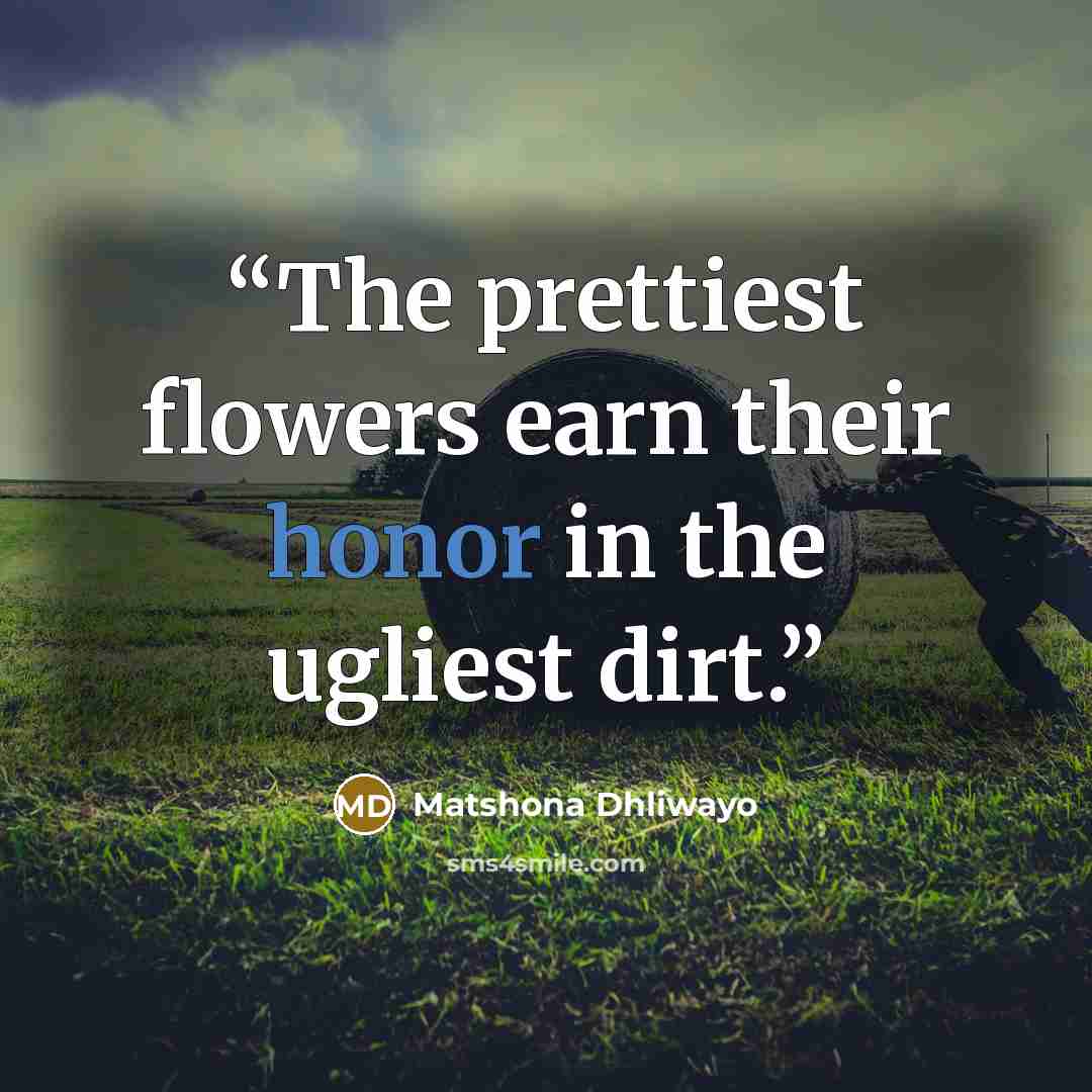 “The prettiest flowers earn their honor in the ugliest dirt.” quote by Matshona Dhliwayo