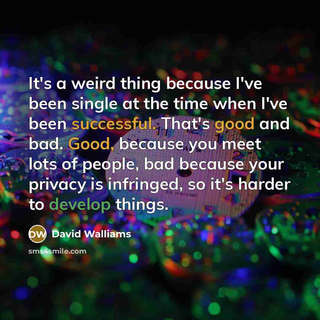 “It's a weird thing because I've been single at the time when I've been successful. That's good and bad. Good, because you meet lots of people, bad because your privacy is infringed, so it's harder to develop things.” quote by David Walliams