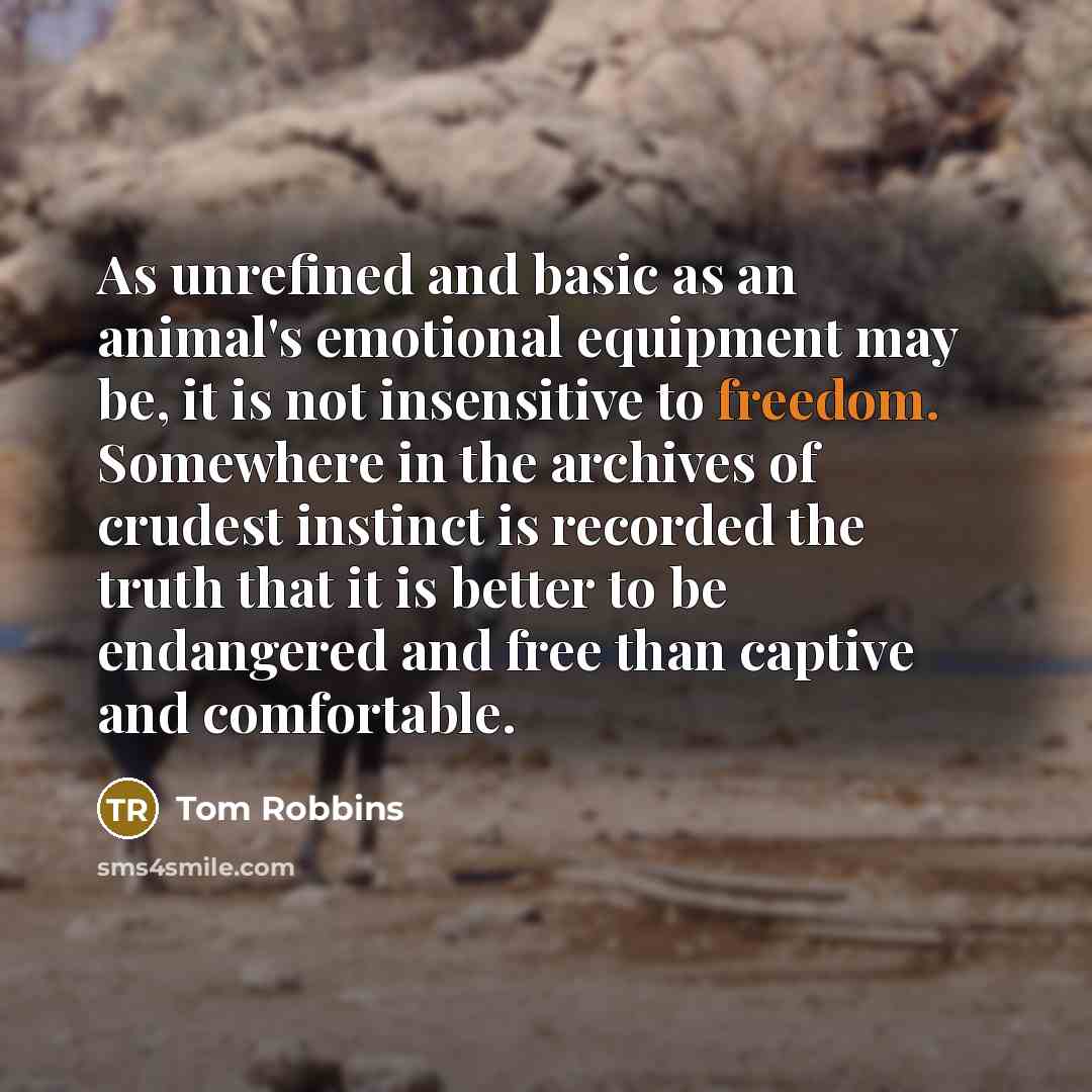 “As unrefined and basic as an animal's emotional equipment may be, it is not insensitive to freedom. Somewhere in the archives of crudest instinct is recorded the truth that it is better to be endangered and free than captive and comfortable.” quote by Tom Robbins