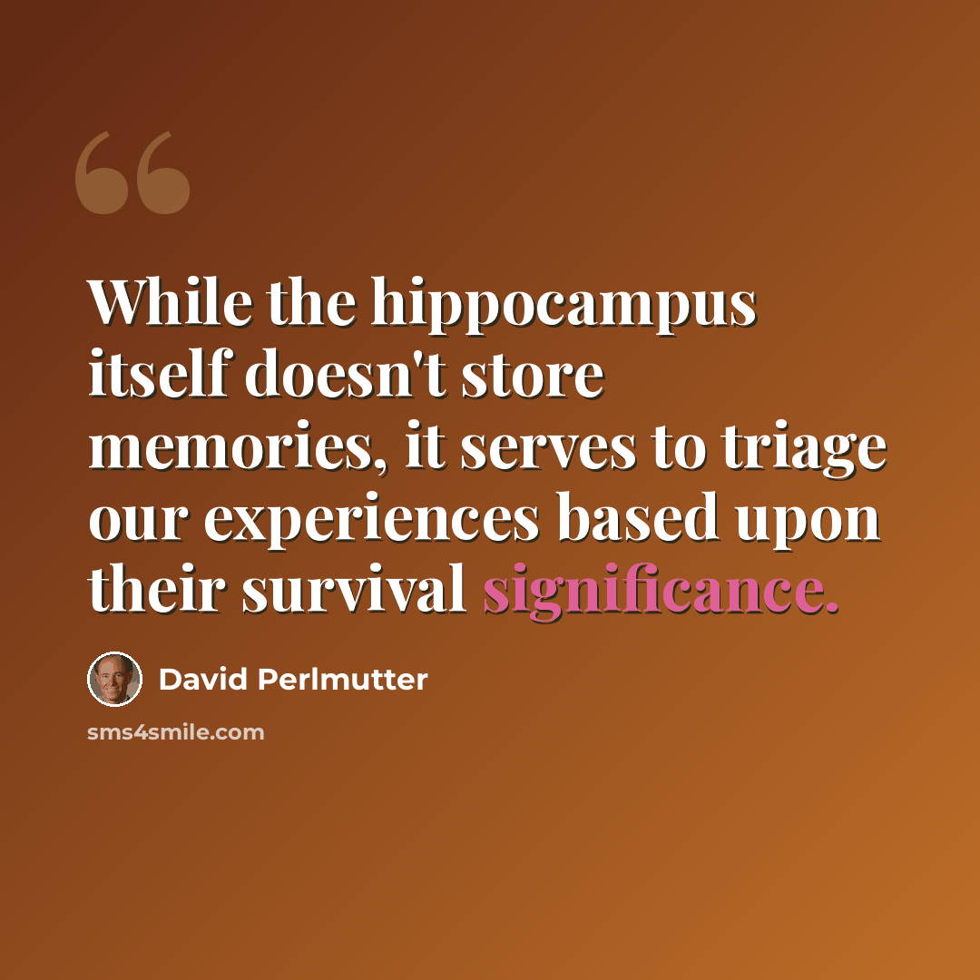 “While the hippocampus itself doesn't store memories, it serves to triage our experiences based upon their survival significance.” quote by David Perlmutter