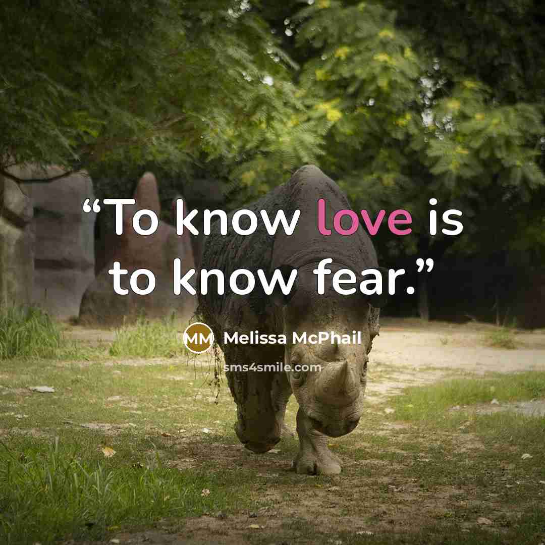 “To know love is to know fear.” quote by Melissa McPhail