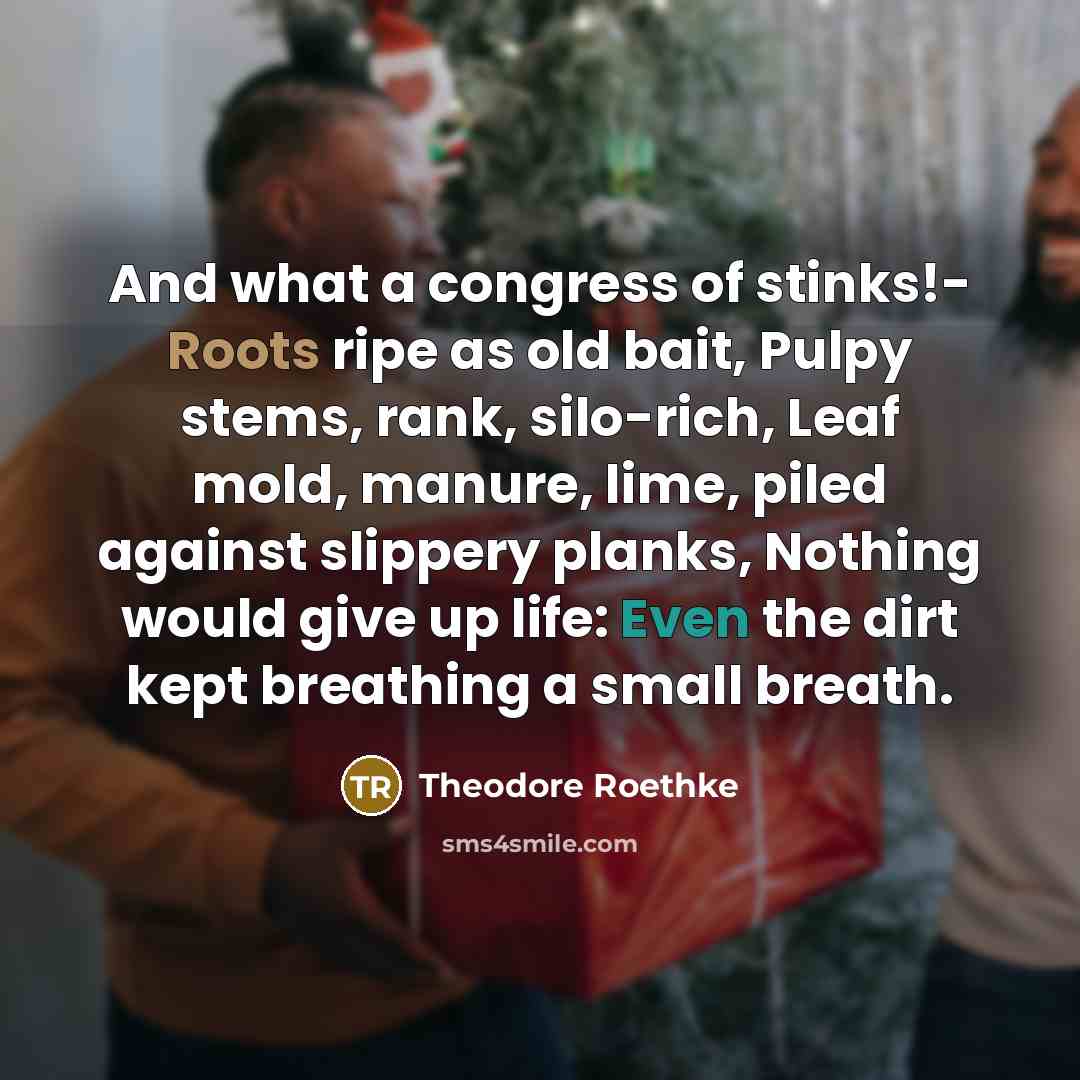 “And what a congress of stinks!- Roots ripe as old bait, Pulpy stems, rank, silo-rich, Leaf mold, manure, lime, piled against slippery planks, Nothing would give up life: Even the dirt kept breathing a small breath.” quote by Theodore Roethke