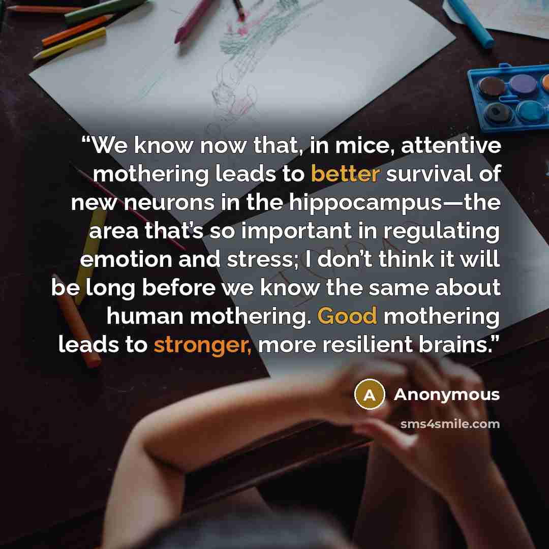 “We know now that, in mice, attentive mothering leads to better survival of new neurons in the hippocampus—the area that’s so important in regulating emotion and stress; I don’t think it will be long before we know the same about human mothering. Good mothering leads to stronger, more resilient…” quote by Anonymous