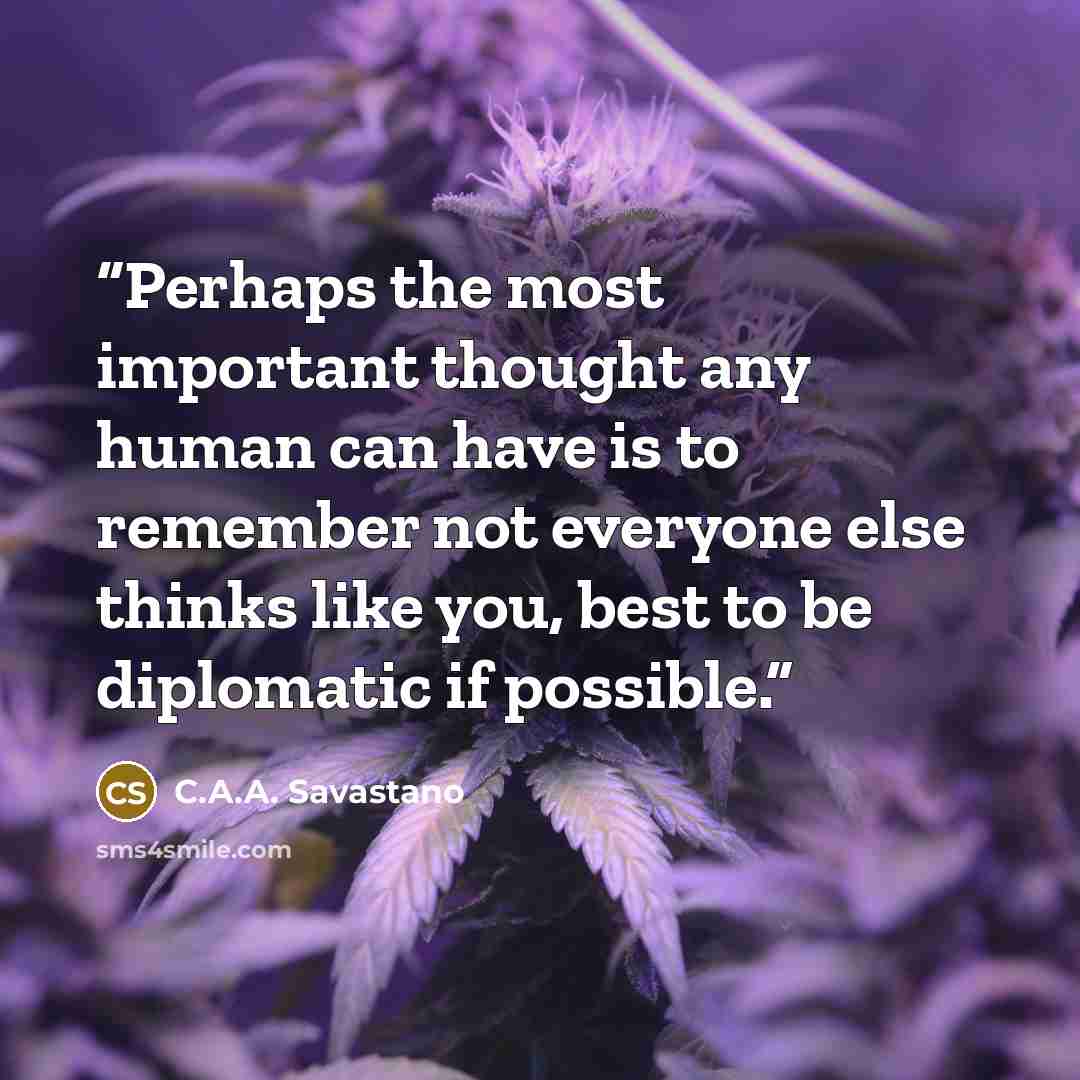 “Perhaps the most important thought any human can have is to remember not everyone else thinks like you, best to be diplomatic if possible.” quote by C.A.A. Savastano