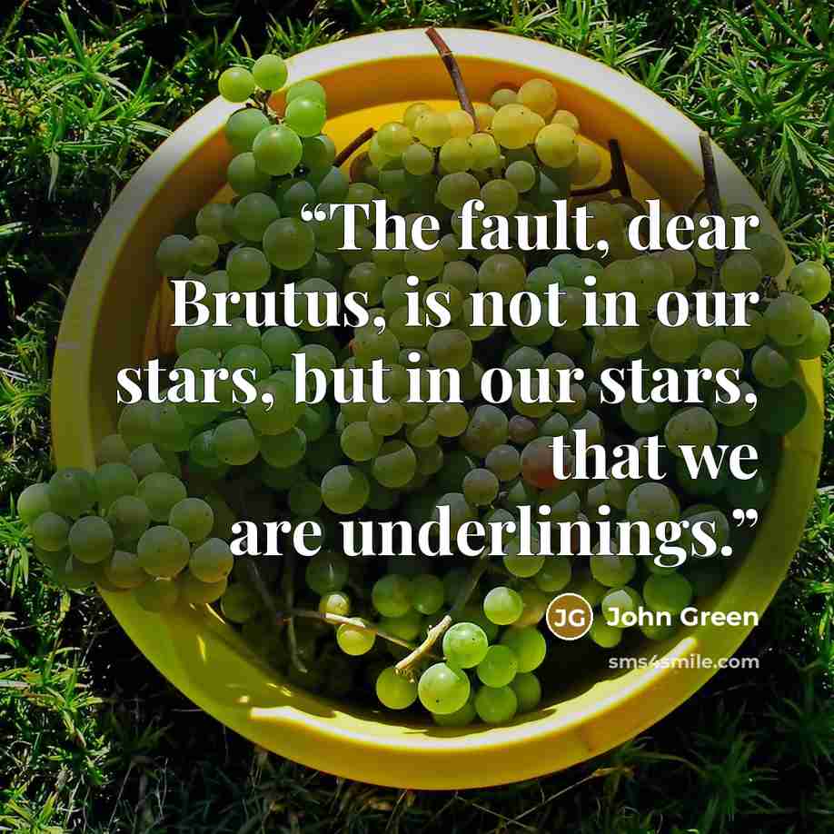 “The fault, dear Brutus, is not in our stars, but in our stars, that we are underlinings.” quote by John Green