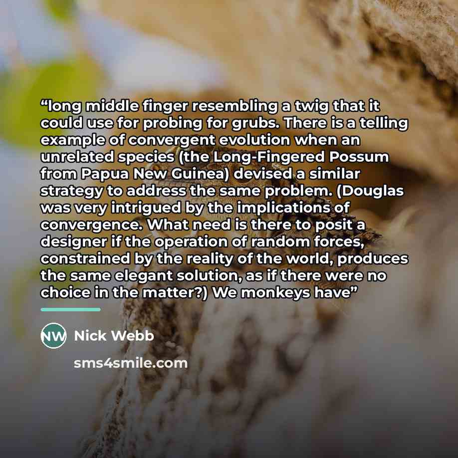 “long middle finger resembling a twig that it could use for probing for grubs. There is a telling example of convergent evolution when an unrelated species (the Long-Fingered Possum from Papua New Guinea) devised a similar strategy to address the same problem. (Douglas was very intrigued by the…” quote by Nick Webb