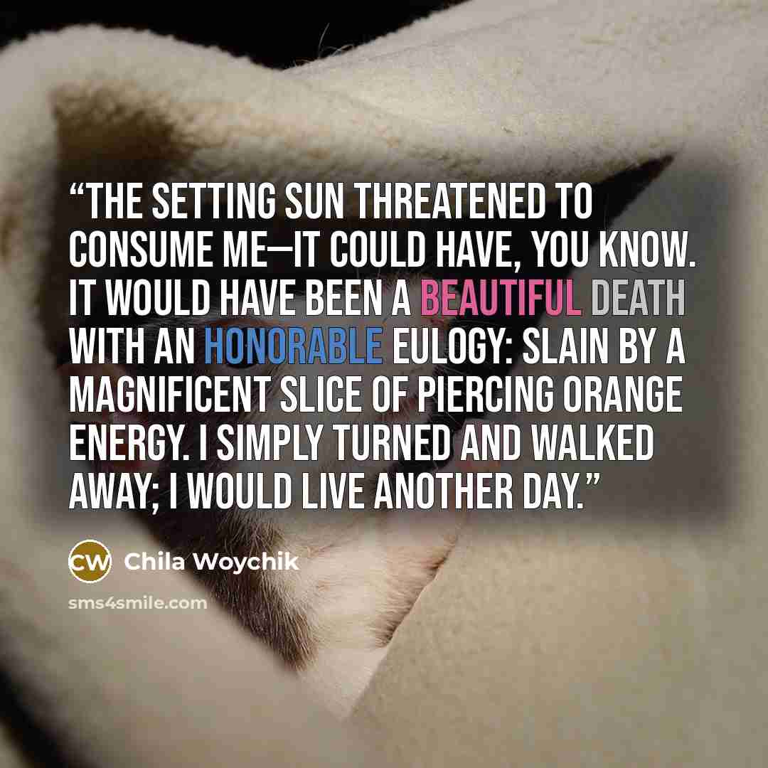 “The setting sun threatened to consume me—it could have, you know. It would have been a beautiful death with an honorable eulogy: slain by a magnificent slice of piercing orange energy. I simply turned and walked away; I would live another day.” quote by Chila Woychik