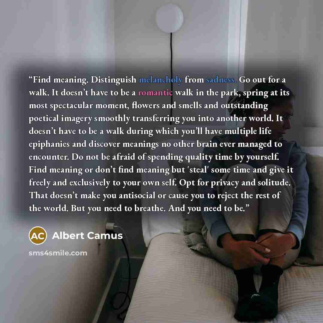 “Find meaning. Distinguish melancholy from sadness. Go out for a walk. It doesn’t have to be a romantic walk in the park, spring at its most spectacular moment, flowers and smells and outstanding poetical imagery smoothly transferring you into another world. It doesn’t have to be a walk during…” quote by Albert Camus