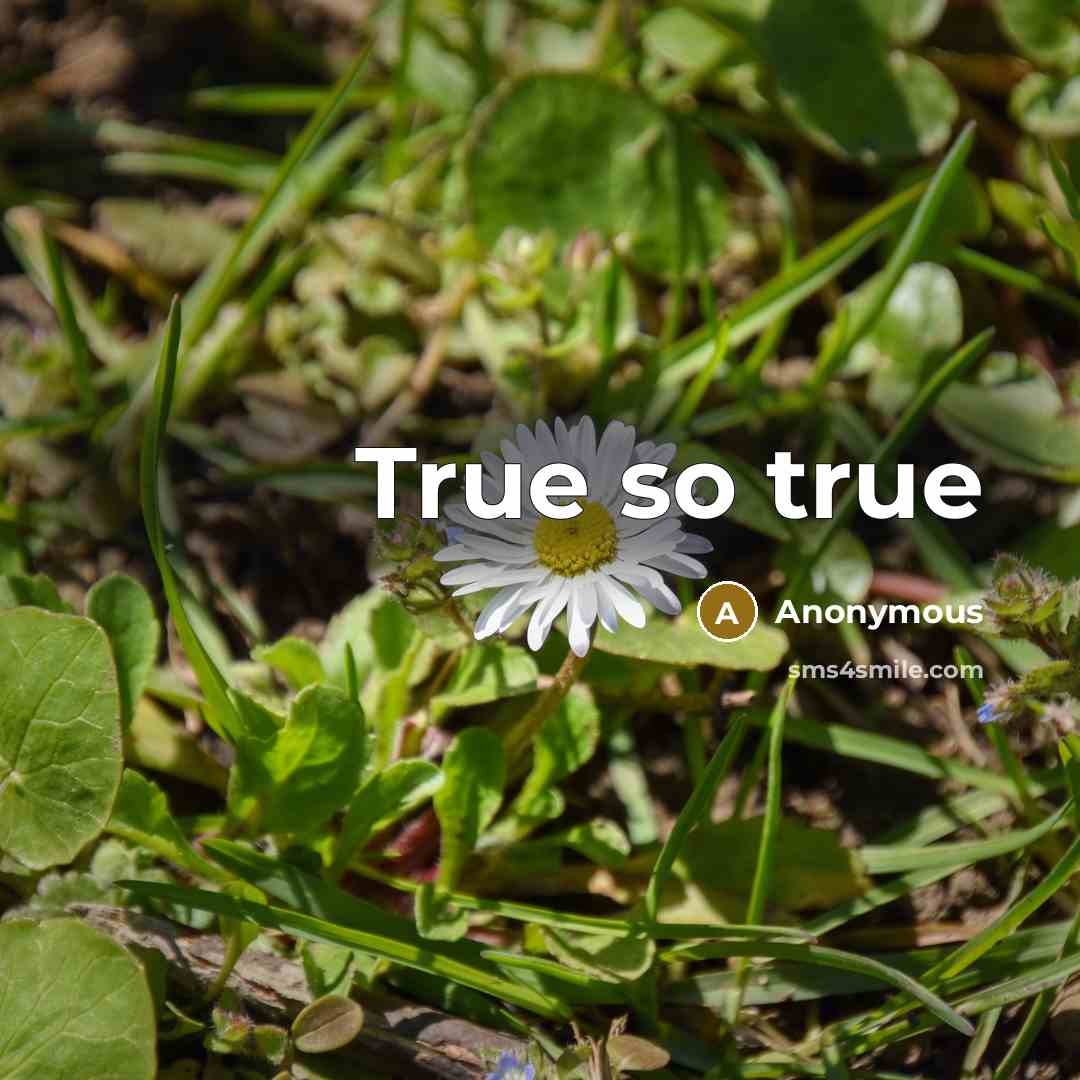 “True so true” quote by Anonymous