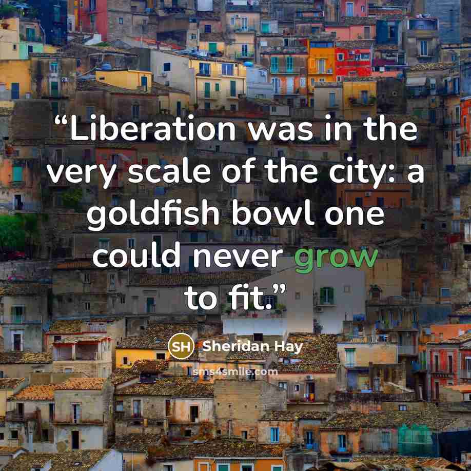 “Liberation was in the very scale of the city: a goldfish bowl one could never grow to fit.” quote by Sheridan Hay