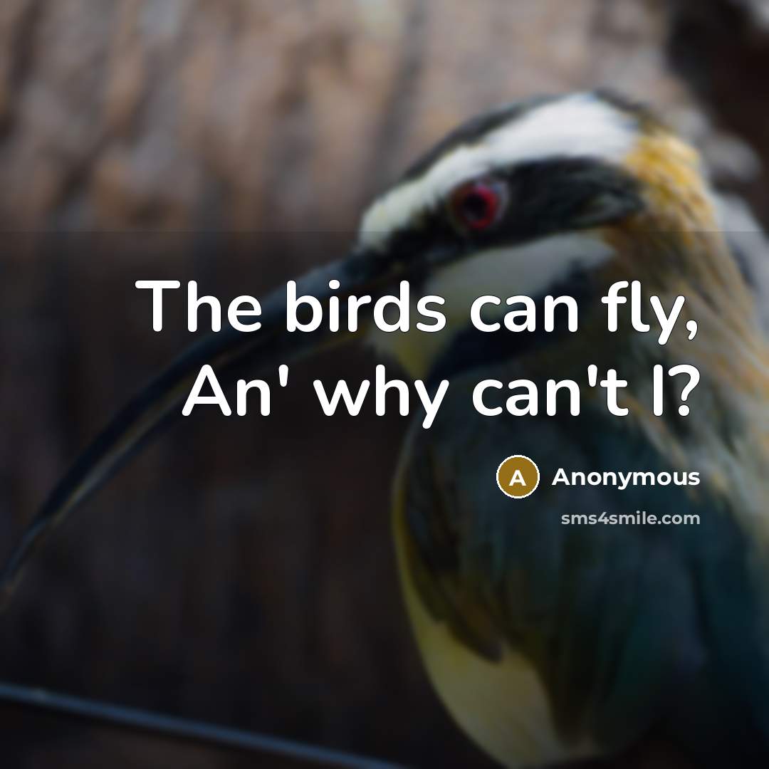 “The birds can fly, An' why can't I?” quote by Anonymous