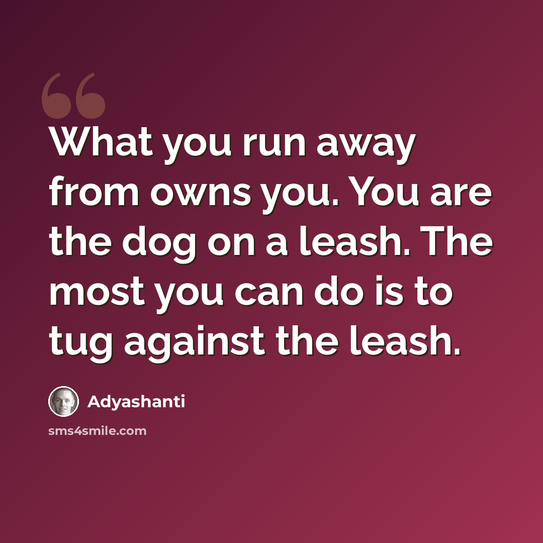 “What you run away from owns you. You are the dog on a leash. The most you can do is to tug against the leash.” quote by Adyashanti