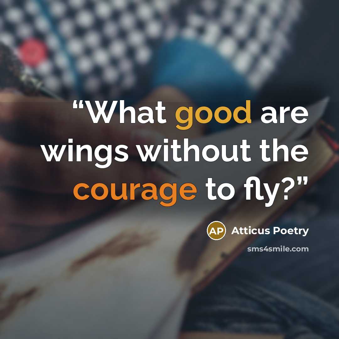 “What good are wings without the courage to fly?” quote by Atticus Poetry