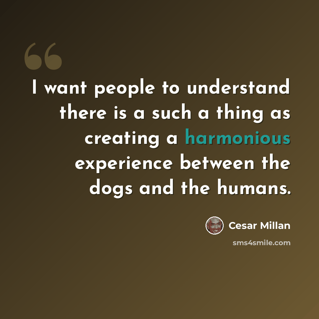 “I want people to understand there is a such a thing as creating a harmonious experience between the dogs and the humans.” quote by Cesar Millan