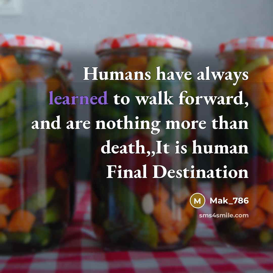 “Humans have always learned to walk forward, and are nothing more than death,,It is human Final Destination” quote by Mak_786