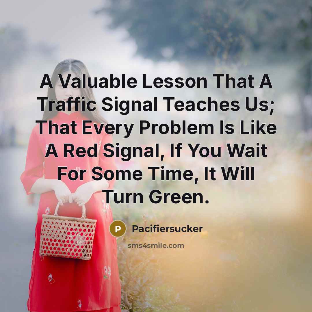 “A Valuable Lesson That A Traffic Signal Teaches Us; That Every Problem Is Like A Red Signal, If You Wait For Some Time, It Will Turn Green.” quote by Pacifiersucker