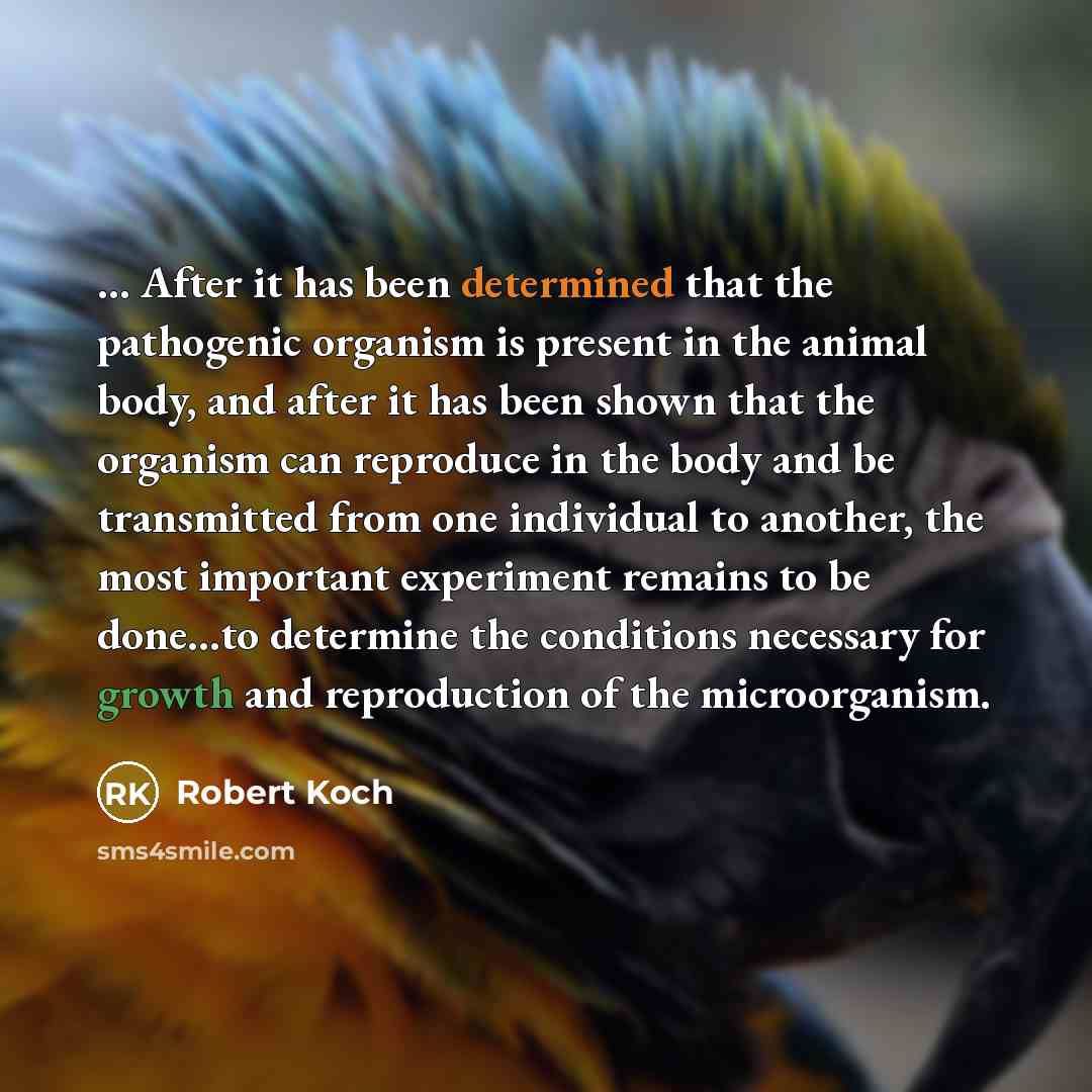 “... After it has been determined that the pathogenic organism is present in the animal body, and after it has been shown that the organism can reproduce in the body and be transmitted from one individual to another, the most important experiment remains to be done…to determine the conditions…” quote by Robert Koch