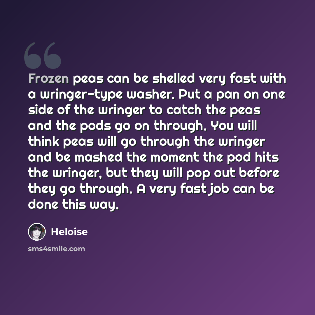 “Frozen peas can be shelled very fast with a wringer-type washer. Put a pan on one side of the wringer to catch the peas and the pods go on through. You will think peas will go through the wringer and be mashed the moment the pod hits the wringer, but they will pop out before they go through. A…” quote by Heloise