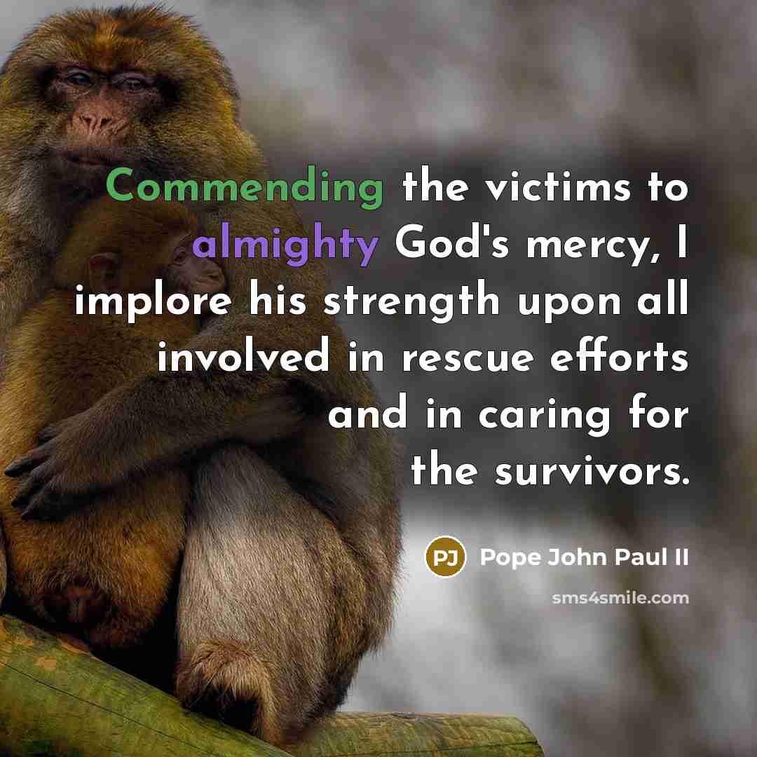 “Commending the victims to almighty God's mercy, I implore his strength upon all involved in rescue efforts and in caring for the survivors.” quote by Pope John Paul II