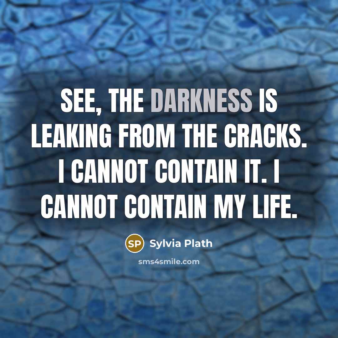 “See, the darkness is leaking from the cracks. I cannot contain it. I cannot contain my life.” quote by Sylvia Plath