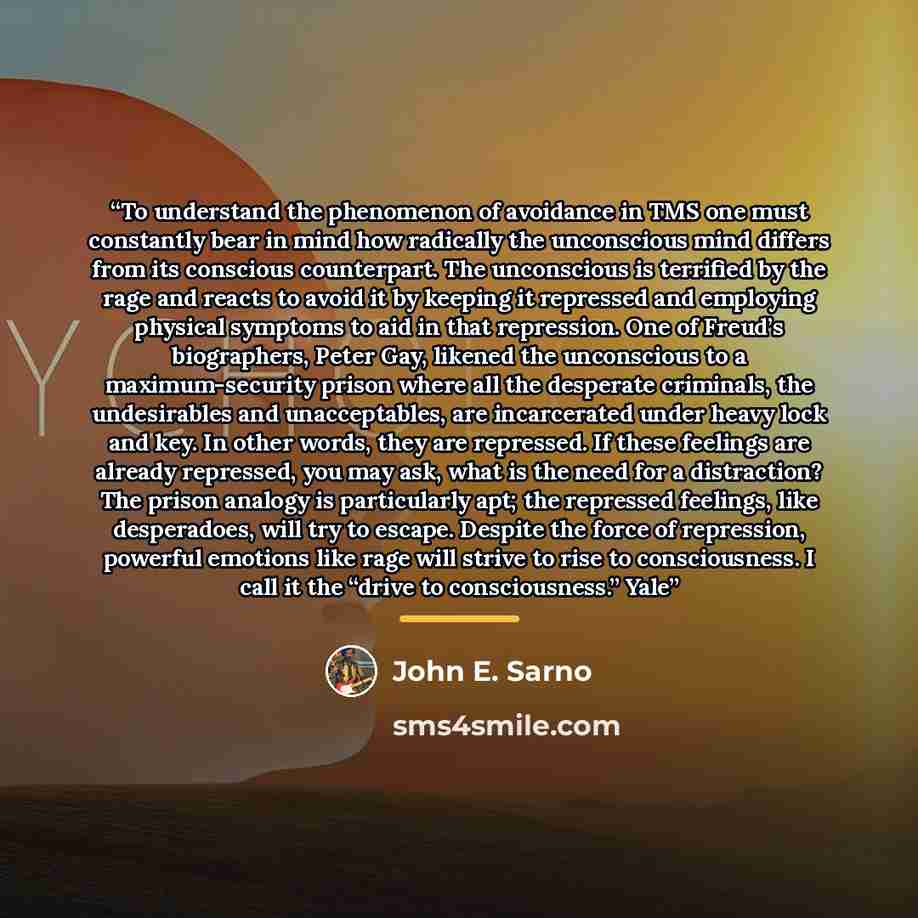 “To understand the phenomenon of avoidance in TMS one must constantly bear in mind how radically the unconscious mind differs from its conscious counterpart. The unconscious is terrified by the rage and reacts to avoid it by keeping it repressed and employing physical symptoms to aid in that…” quote by John E. Sarno