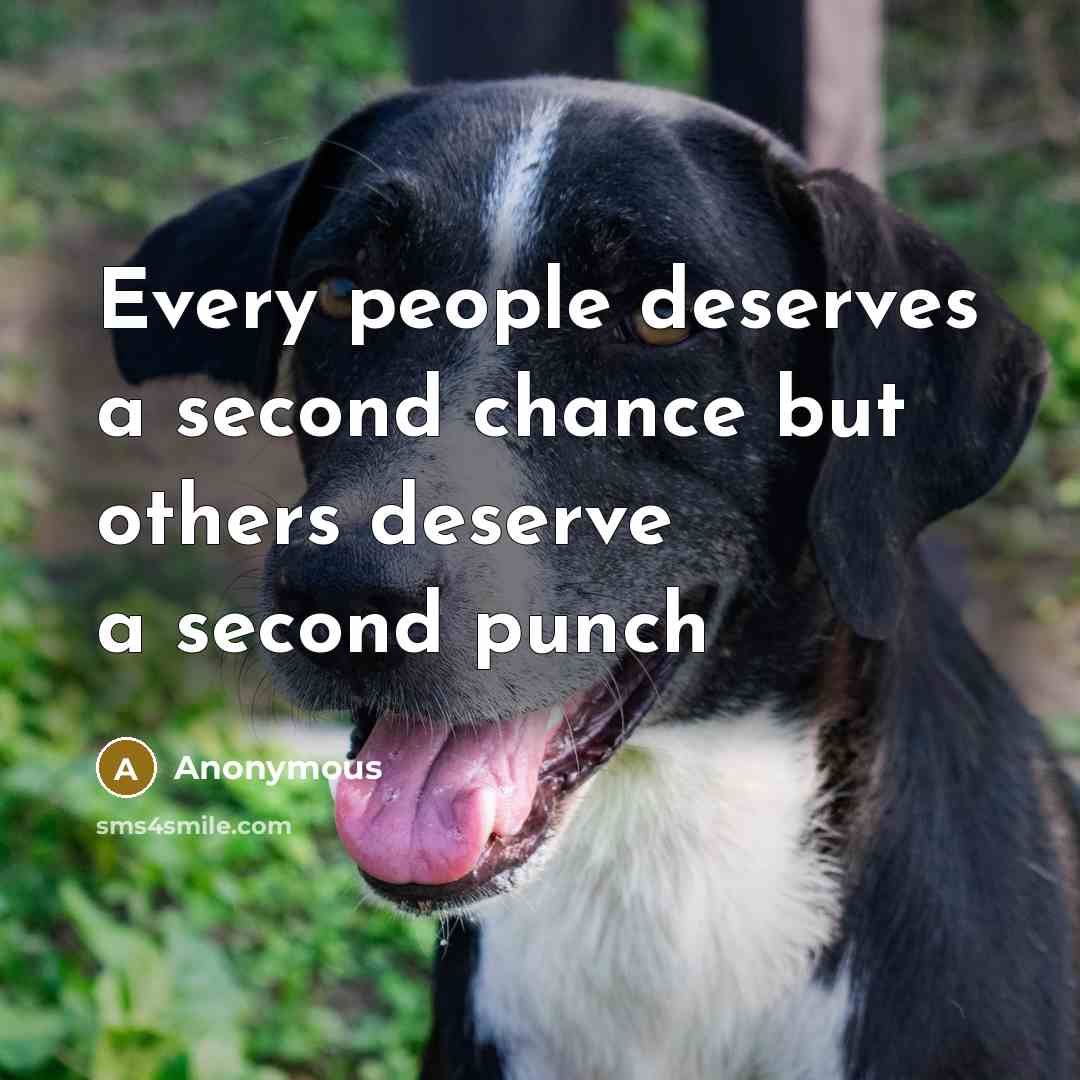 “Every people deserves a second chance but others deserve a second punch” quote by Anonymous