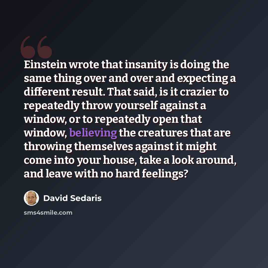 “Einstein wrote that insanity is doing the same thing over and over and expecting a different result. That said, is it crazier to repeatedly throw yourself against a window, or to repeatedly open that window, believing the creatures that are throwing themselves against it might come into your…” quote by David Sedaris