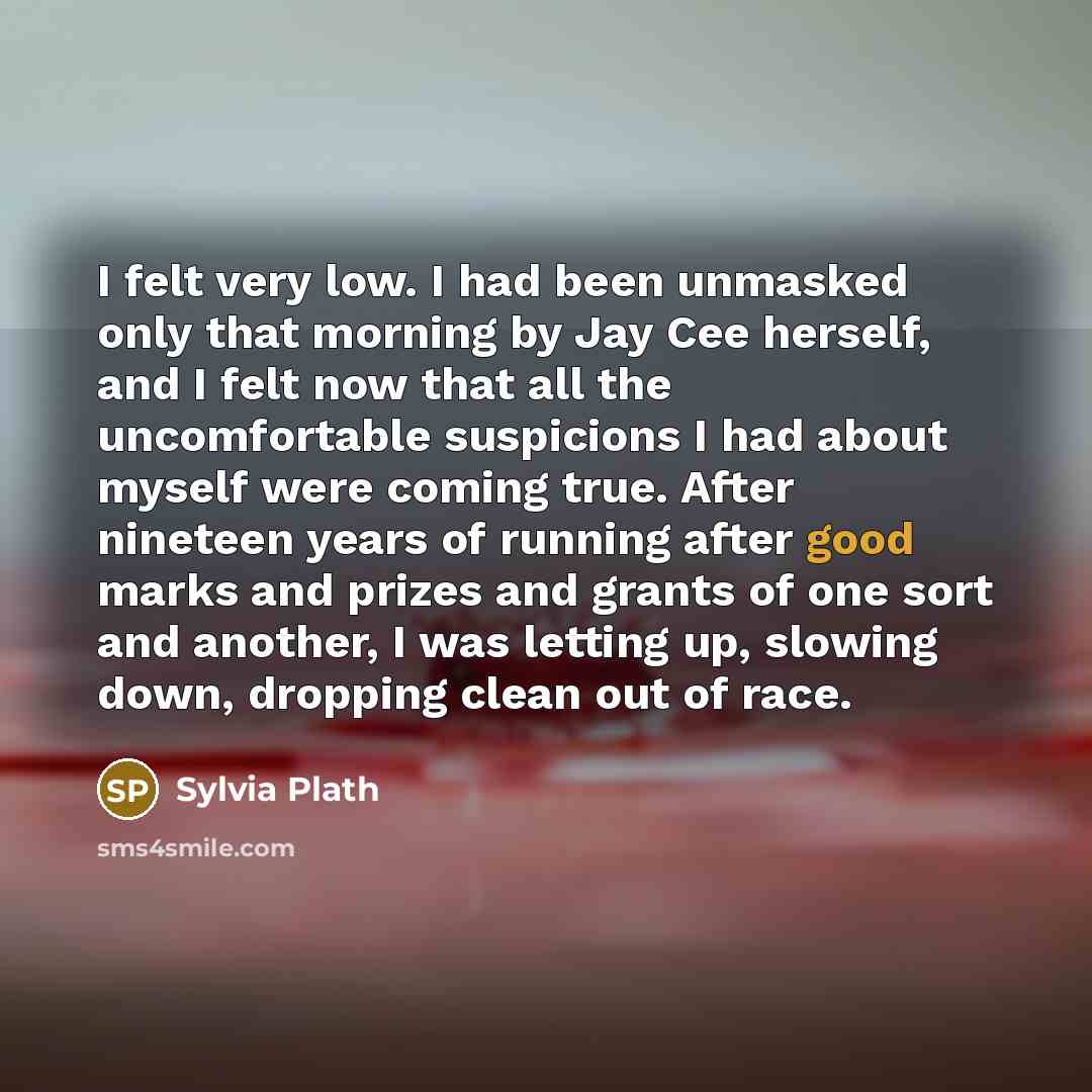 “I felt very low. I had been unmasked only that morning by Jay Cee herself, and I felt now that all the uncomfortable suspicions I had about myself were coming true. After nineteen years of running after good marks and prizes and grants of one sort and another, I was letting up, slowing down…” quote by Sylvia Plath