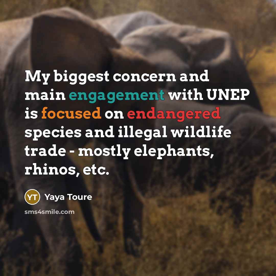 “My biggest concern and main engagement with UNEP is focused on endangered species and illegal wildlife trade - mostly elephants, rhinos, etc.” quote by Yaya Toure